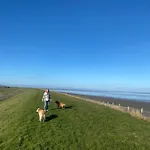بيت للعطل Nr 90 Neues, Ruhiges Direkt Am Wattenmeer, Hundefreundlich, Komplett Eingezaeunt *