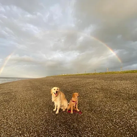 Nr 90 Neues, Ruhiges Direkt Am Wattenmeer, Hundefreundlich, Komplett Eingezaeunt Westerland