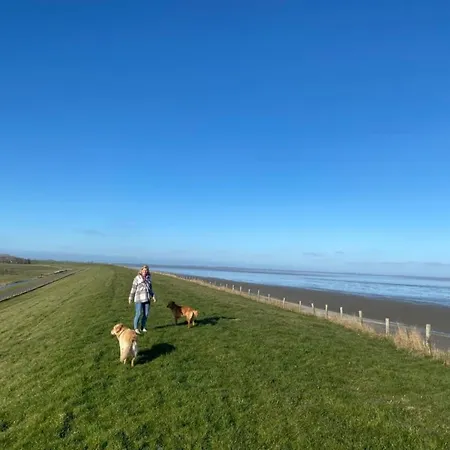 Holiday home Nr 90 Neues, Ruhiges Direkt Am Wattenmeer, Hundefreundlich, Komplett Eingezaeunt *