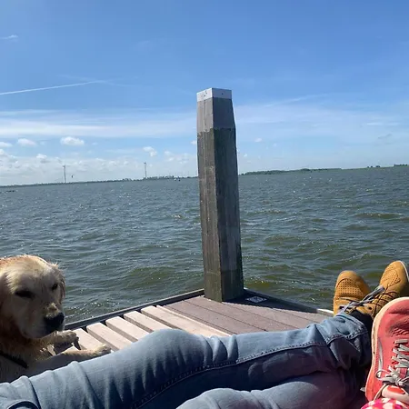 Nr 90 Neues, Ruhiges Direkt Am Wattenmeer, Hundefreundlich, Komplett Eingezaeunt Casa vacanze *