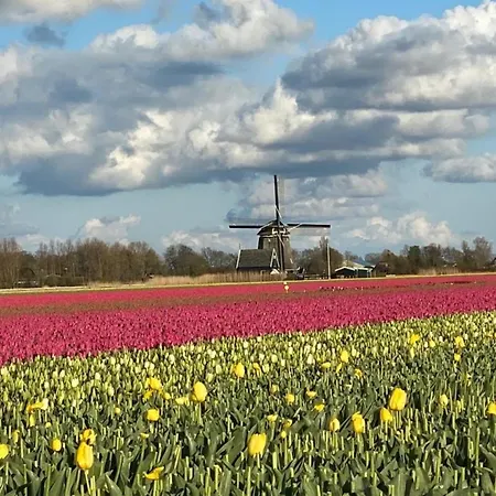 Nr 90 Neues, Ruhiges Direkt Am Wattenmeer, Hundefreundlich, Komplett Eingezaeunt Holiday home Westerland