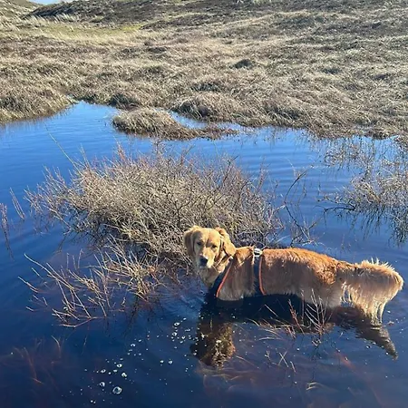 Nr 90 Neues, Ruhiges Direkt Am Wattenmeer, Hundefreundlich, Komplett Eingezaeunt Westerland