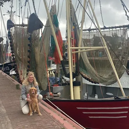 Nr 90 Neues, Ruhiges Direkt Am Wattenmeer, Hundefreundlich, Komplett Eingezaeunt *