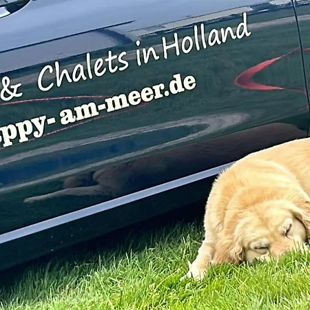 Nr 90 Neues, Ruhiges Direkt Am Wattenmeer, Hundefreundlich, Komplett Eingezaeunt Semesterbostad