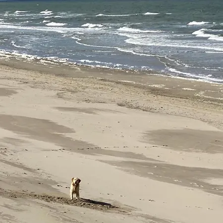 Nr 90 Neues, Ruhiges Direkt Am Wattenmeer, Hundefreundlich, Komplett Eingezaeunt Westerland