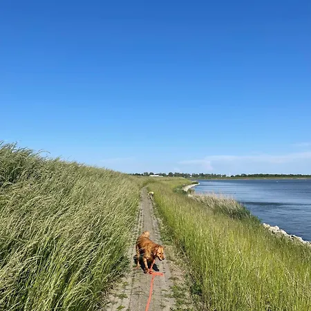 Nr 90 Neues, Ruhiges Direkt Am Wattenmeer, Hundefreundlich, Komplett Eingezaeunt Casa vacanze *