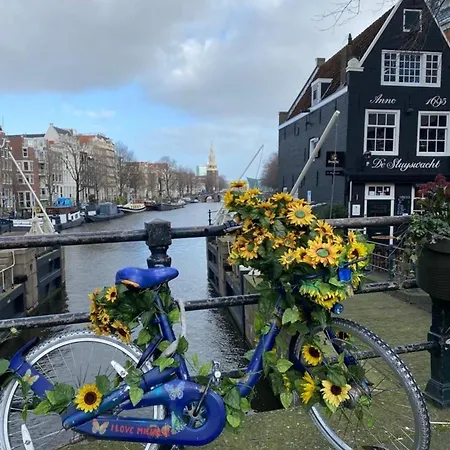 Nr 90 Neues, Ruhiges Direkt Am Wattenmeer, Hundefreundlich, Komplett Eingezaeunt *