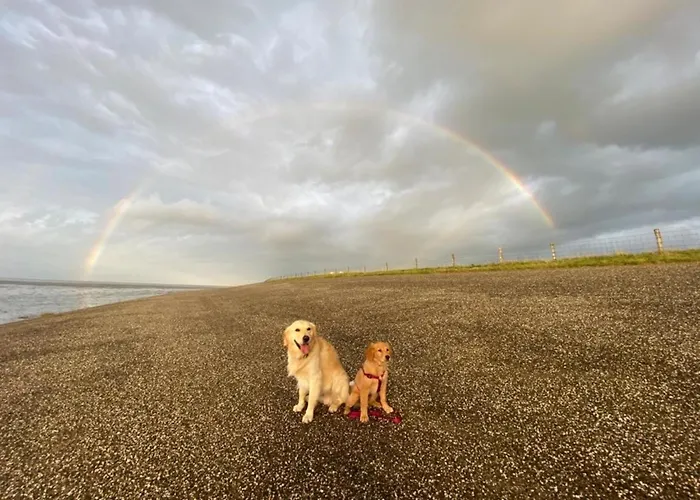 Nr 90 Neues, Ruhiges Direkt Am Wattenmeer, Hundefreundlich, Komplett Eingezaeunt Westerland