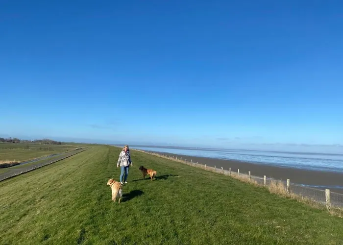 Holiday home Nr 90 Neues, Ruhiges Direkt Am Wattenmeer, Hundefreundlich, Komplett Eingezaeunt *