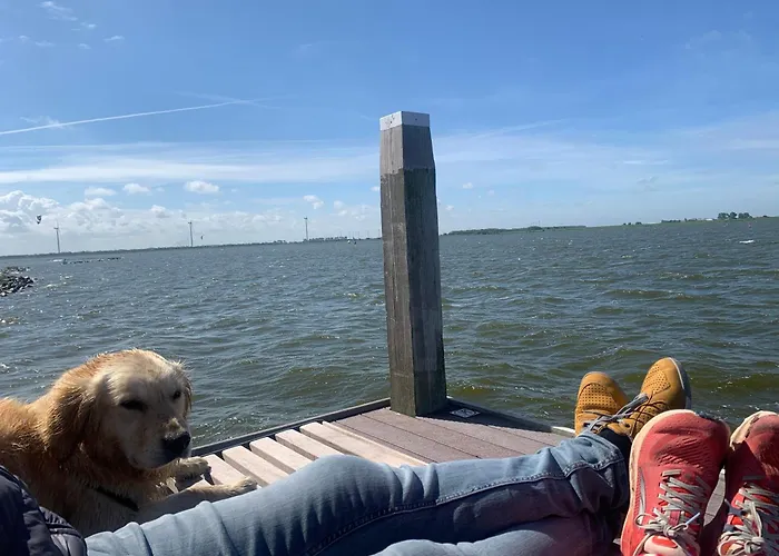 Nr 90 Neues, Ruhiges Direkt Am Wattenmeer, Hundefreundlich, Komplett Eingezaeunt Holiday home *