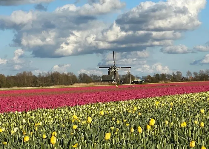 Nr 90 Neues, Ruhiges Direkt Am Wattenmeer, Hundefreundlich, Komplett Eingezaeunt Holiday home Westerland