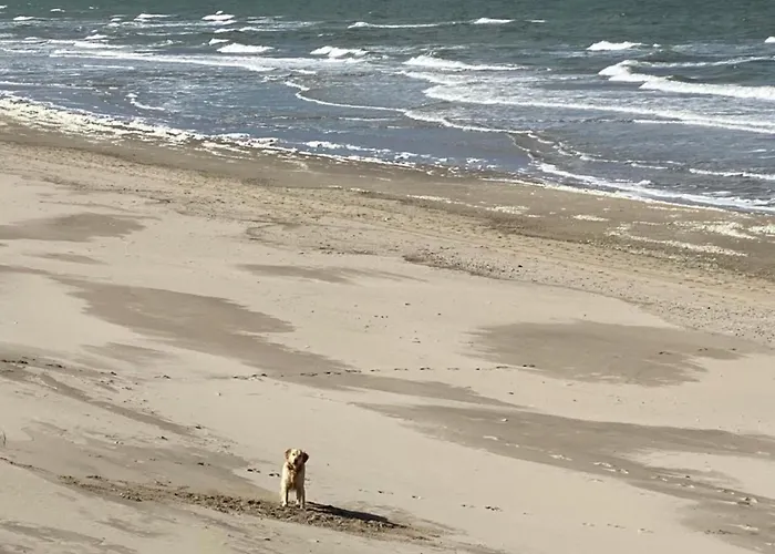 Nr 90 Neues, Ruhiges Direkt Am Wattenmeer, Hundefreundlich, Komplett Eingezaeunt Westerland