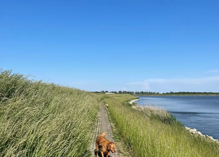 Nr 90 Neues, Ruhiges Direkt Am Wattenmeer, Hundefreundlich, Komplett Eingezaeunt Holiday home *