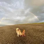 Nr 90 Neues, Ruhiges Direkt Am Wattenmeer, Hundefreundlich, Komplett Eingezaeunt Westerland
