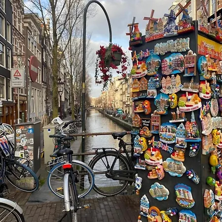 Nr 90 Neues, Ruhiges Direkt Am Wattenmeer, Hundefreundlich, Komplett Eingezaeunt