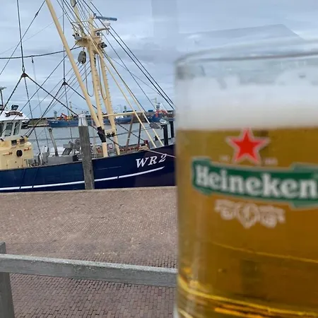 Nr 90 Neues, Ruhiges Direkt Am Wattenmeer, Hundefreundlich, Komplett Eingezaeunt *